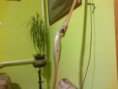 /album/fenykepgaleria/a2013-04-10-126-jpg/