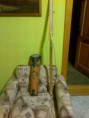 /album/fenykepgaleria/a2013-04-10-129-jpg/
